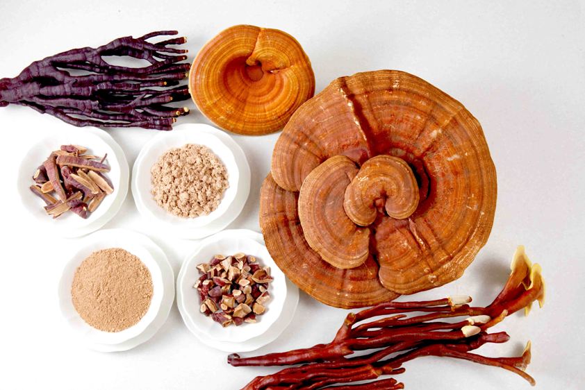 Reishi – huba nesmrteľnosti